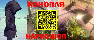 стафф Обнинск