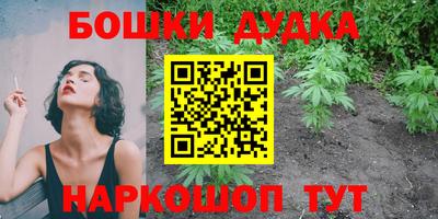 стафф Обнинск