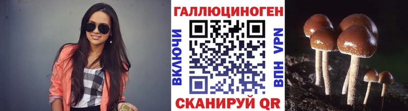 Псилоцибиновые грибы Psilocybine cubensis МЕГА ссылка Волхов