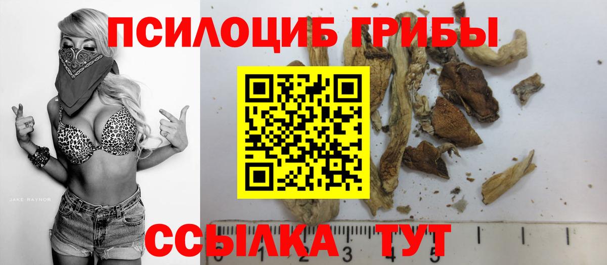 Волхов  Галлюциногенные грибы ЛСД  Псилоцибиновые грибы мухоморы  Вход с VPN 